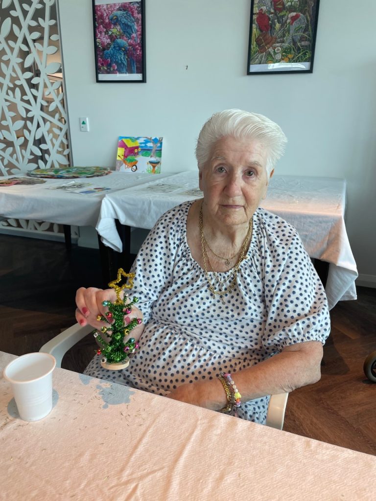 TriCare Aged Care Christmas Gallery